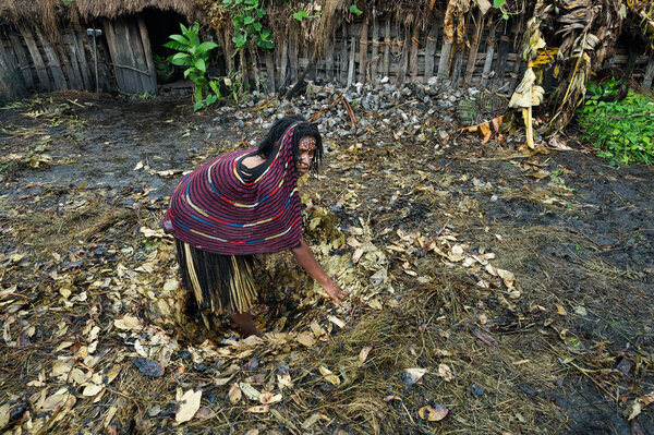 Дани женщина готовит яму для свиного пира
.