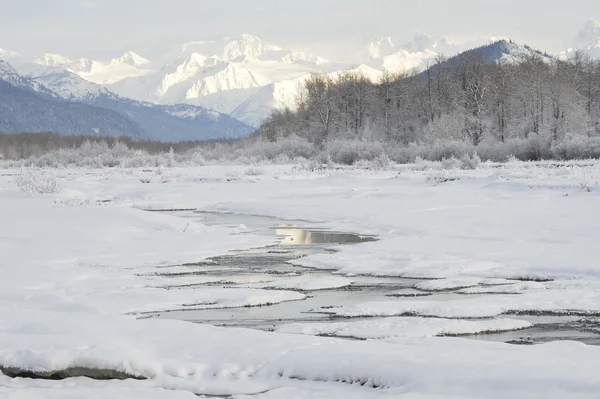 Rivière Chilkat . — Photo