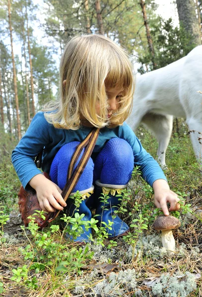 Petite fille rassemble des champignons — Photo