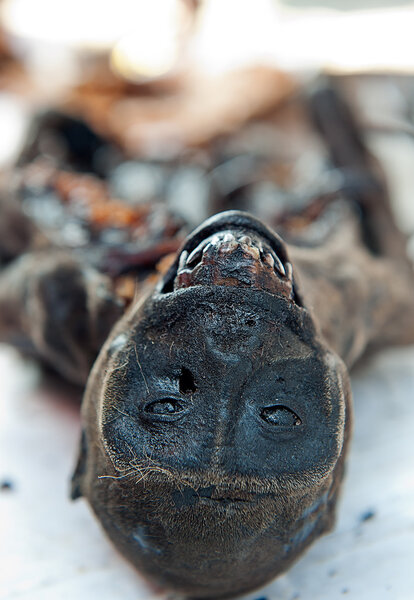 Smoked monkey sold a local foodmarket in Congo