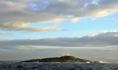 Cape Town yakınındaki Seal Adası