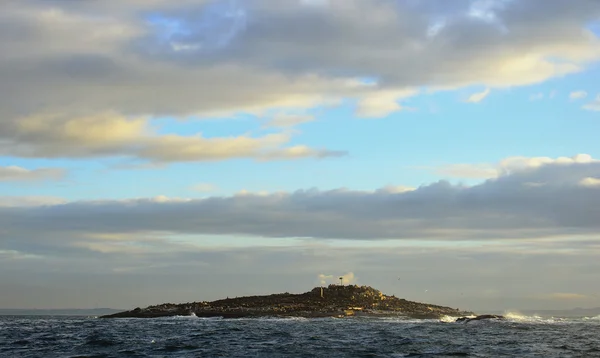 Seal Island w pobliżu Cape Town — Zdjęcie stockowe