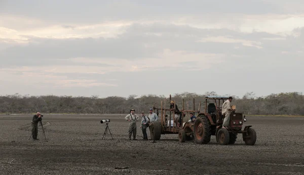 Camaguey Kuba Refugo Fauna Rio Maximo Május Bog Fotósok Fényképész — Stock Fotó