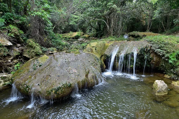 Salton Falls Soroa Kuba — Zdjęcie stockowe