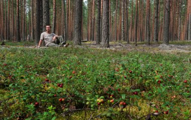 Ormandaki adam. Ön planda bir porselen halı. Çam ormanı. Yaz mevsimi.