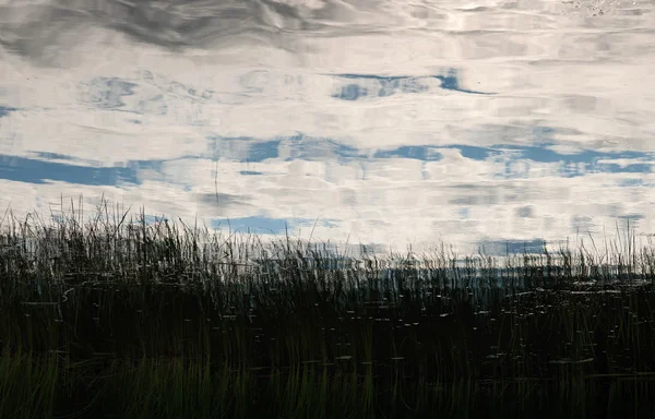 与芦苇河反映在水和多云的天空背景 — 图库照片