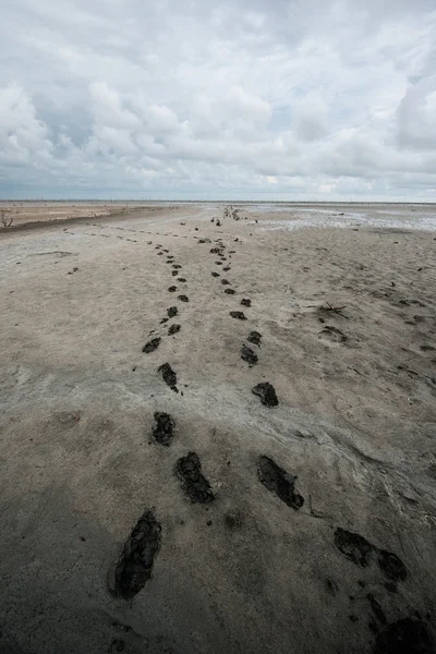 Pegadas na areia e céu nublado — Fotografia de Stock