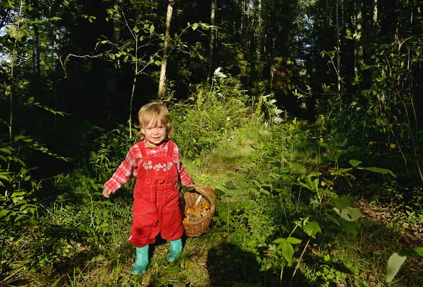 Adorable niña senderismo en el bosque en el día de verano . — Foto de Stock