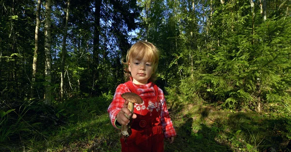 Adorable petite fille randonnée dans la forêt le jour de l'été . — Photo