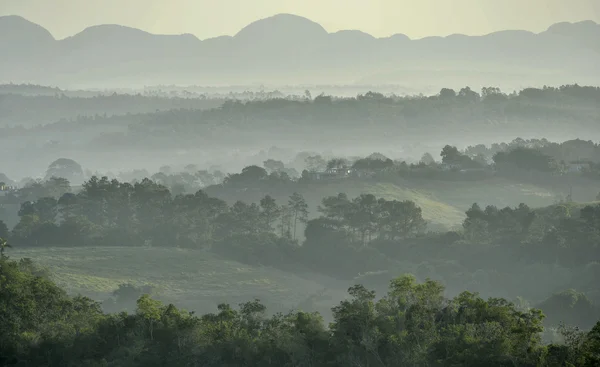 View across the Vinales Valley in Cuba. Morning twilight and fog. — Stock Photo, Image