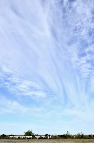 Mraky modré oblohy — Stock fotografie