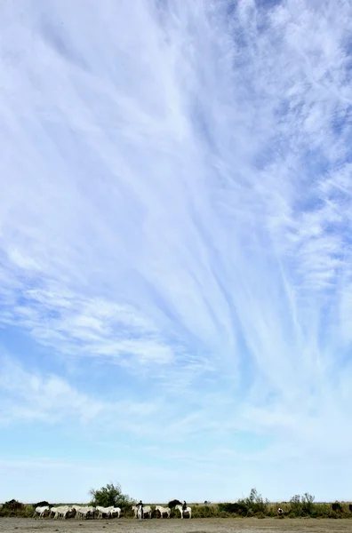 Nuages de ciel bleu — Photo