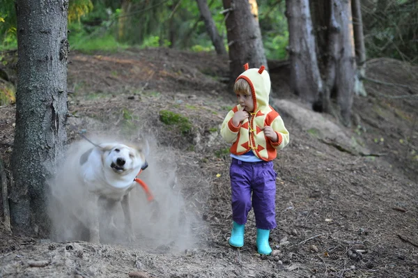 Girl and  dust dog. — Stock Photo, Image