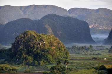  Fog at dawn in the Valley of Vinales