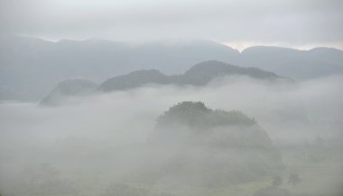  Fog at dawn in the Valley of Vinales clipart