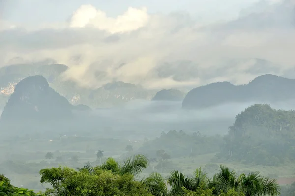 Fog at dawn in the Valley of Vinales — Stockfoto