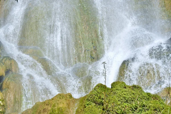 Cascata in una lussureggiante foresta pluviale . — Foto Stock