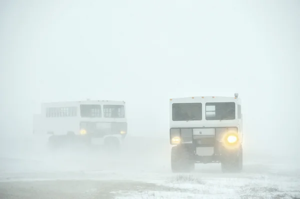 Das geländegängige Fahrzeug für Schneefahrten zu einem Schneesturm in der Tundra. — Stockfoto