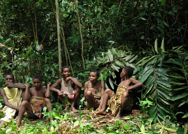 Selva Retrato de una mujer de una tribu Baka de pigmeos. Reserva Forestal Dzanga-Sangha, República Centroafricana , — Foto de Stock