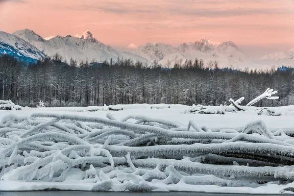 Río Chilkat y montañas — Foto de Stock