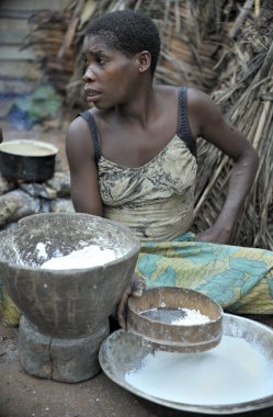 Jungle of the Central-African Republic.