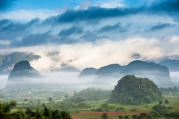 Fridfull utsikt över Vinales valley på sunrise. — Stockfoto