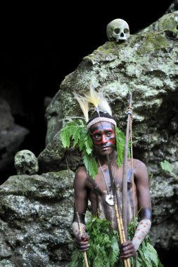 The warrior of a Papuan Yafi tribe