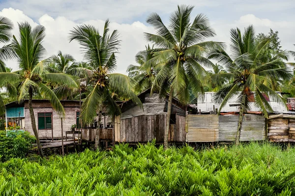 Poor huts of the natives — Stock fotografie