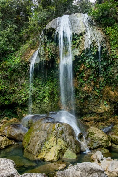 Soroa Waterfall, Sierra Rosario — Φωτογραφία Αρχείου