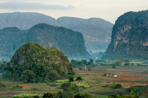 キューバのビナレス渓谷を横切る航空写真 — ストック写真