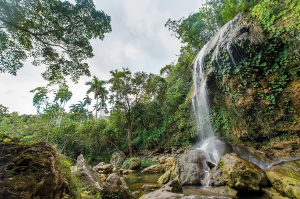 Sierra Rosario biosférická rezervace — Stock fotografie