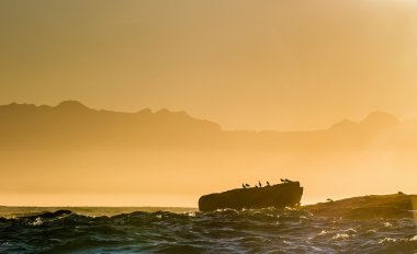 Silhouette island with birds