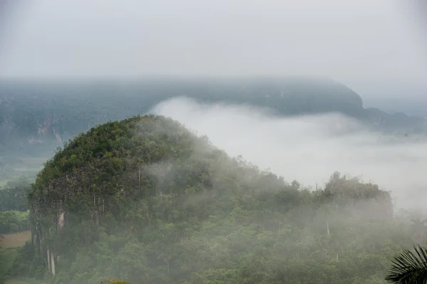 Údolí Vinales na Kubě — Stock fotografie