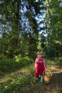 The little girl walking on the summer forest