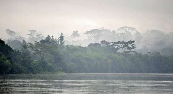 Sangha ποταμού στην ομίχλη — Φωτογραφία Αρχείου