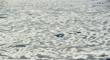 Beyaz Köpük hala okyanus üzerinde