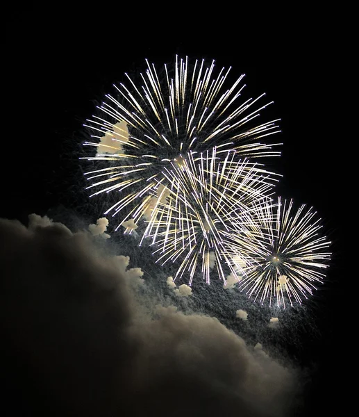 Gyönyörű tűzijáték az éjszakai égen — Stock Fotó