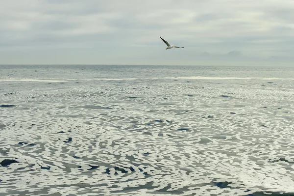 Schiuma bianca su un oceano immobile — Foto Stock