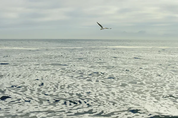 White foam on an  still ocean — Stock Photo, Image