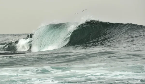 Ondas oceânicas poderosas quebrando . — Fotografia de Stock