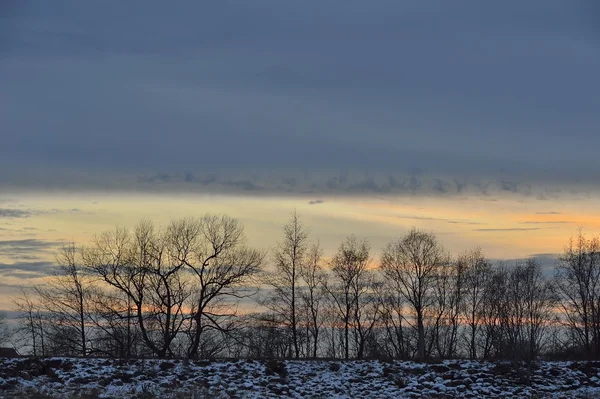 与树木剪影的夕阳的天空 — 图库照片