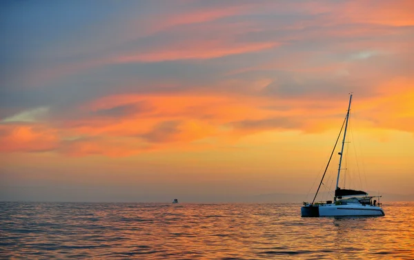 Sailing catamaran at the ocean — Stock Photo, Image