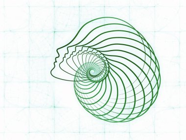 ruhun geometrisi krallıkları