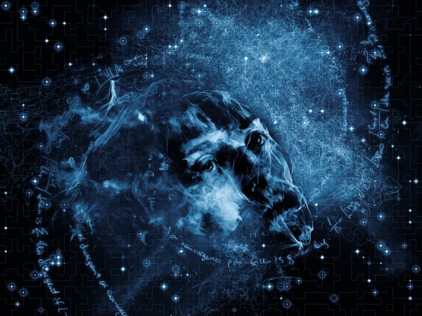 Anlayış iç hayatı