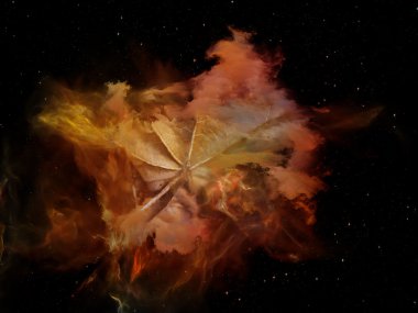 Paradigma rüya alanı