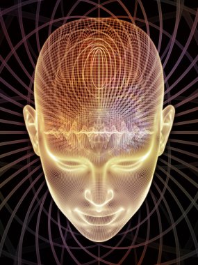 Enerji Insight