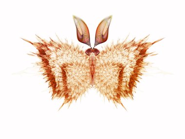 Virtual Butterfly background