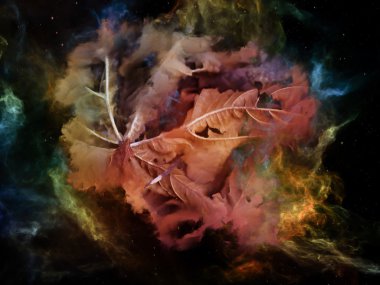 Paradigma rüya alanı