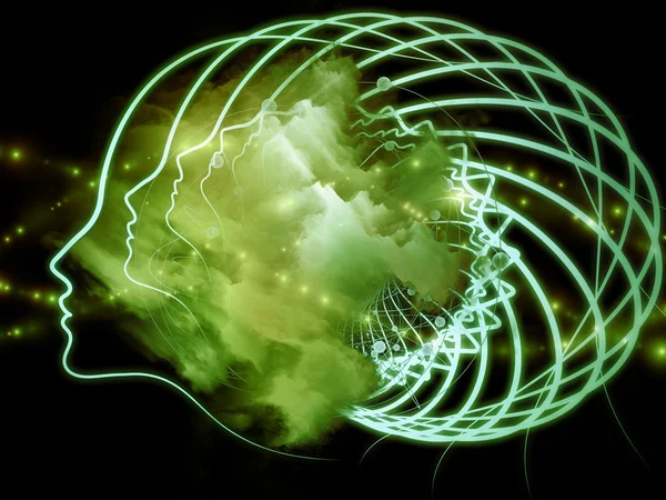 insan profil hatları