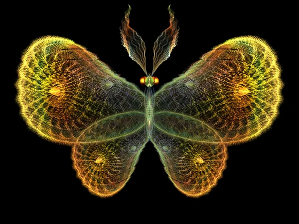 Shining Butterfly background — Stock Photo, Image